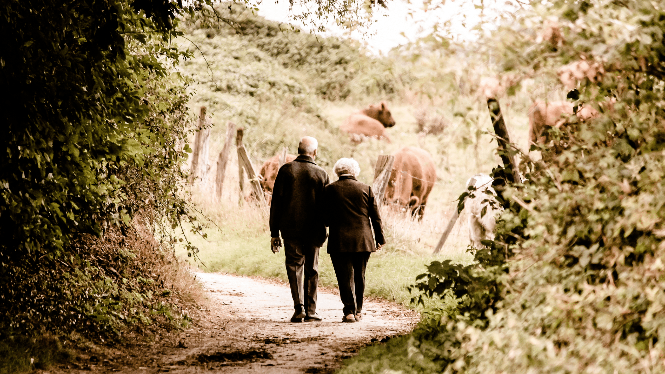 Kom in beweging op Wereld Diabetesdag op dinsdag 14 november. Op deze dag wordt extra aandacht gevraagd voor mensen met diabetes. Half Uurtje Door Je Buurtje is een initiatief van de Bas van de Goor Foundation.